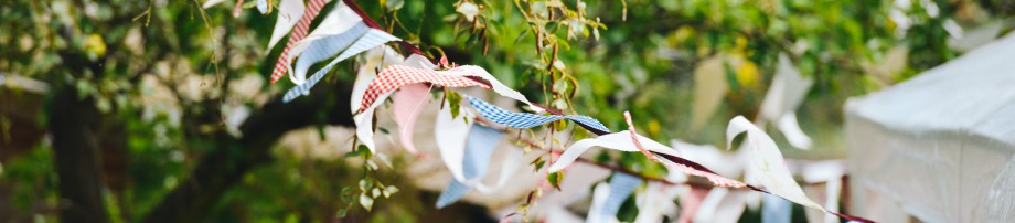 festival flags garden party 920x202De leukste ideeën voor uw overkapping